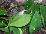 DSCN3614.JPG